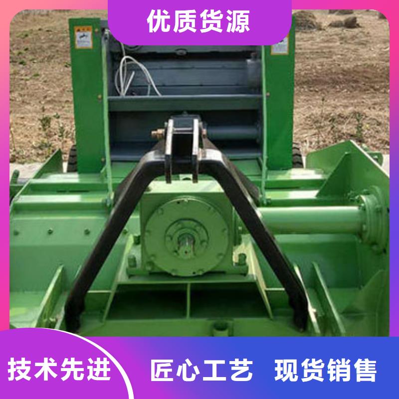 杜宾犬视频-杜宾犬(一品)覆盖地域广东省江门市新会|蓬江|阳江|中山|湛江|韶关|云浮|东莞