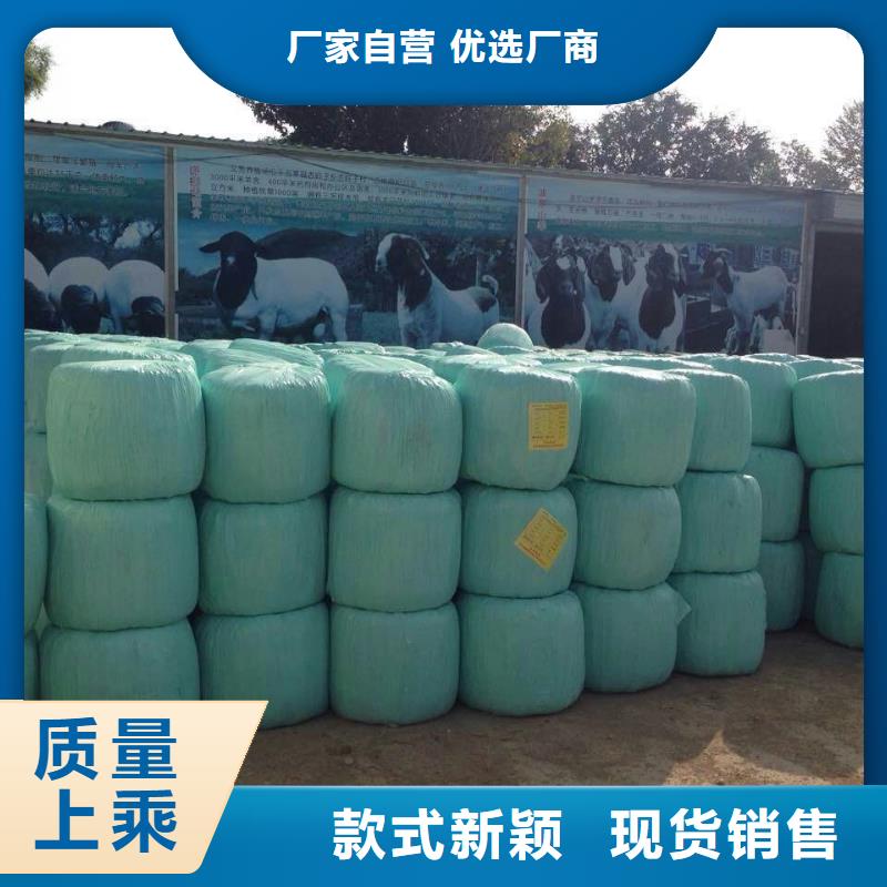 打捆包膜機,卡斯羅犬專業(yè)生產(chǎn)團隊
