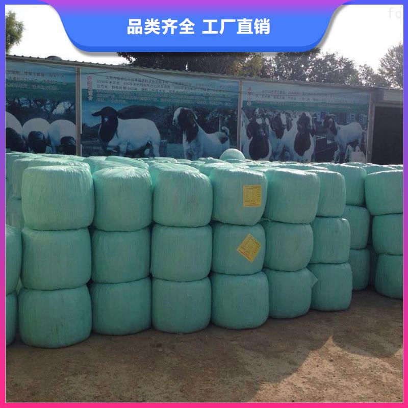 打捆包膜機(jī)卡斯羅犬源頭采購(gòu)
