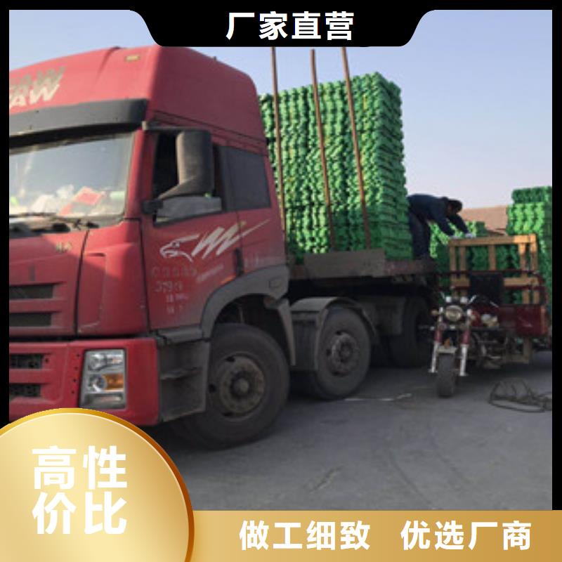 環保植草格植草格廠家一站式采購方便省心