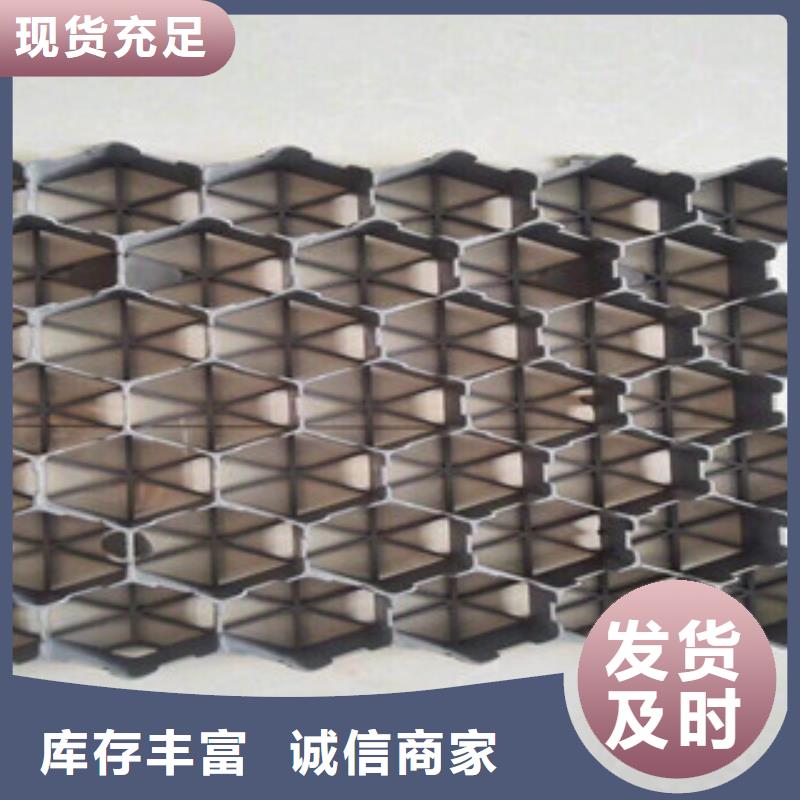 環保植草格膨潤土防水毯廠家同行低價