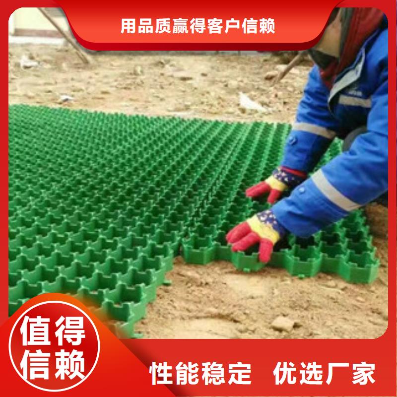 環保植草格蓄排水板廠家實力見證