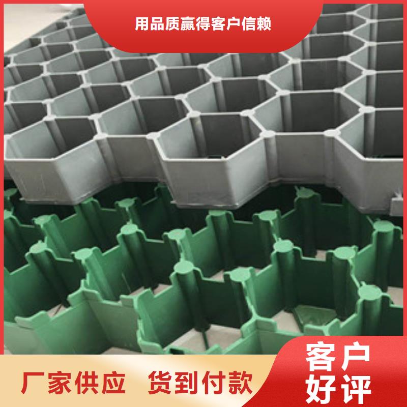 環保植草格蓄排水板廠家廠家直銷省心省錢