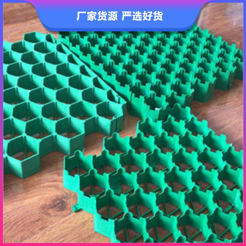 環保植草格植草格廠家一站式采購方便省心