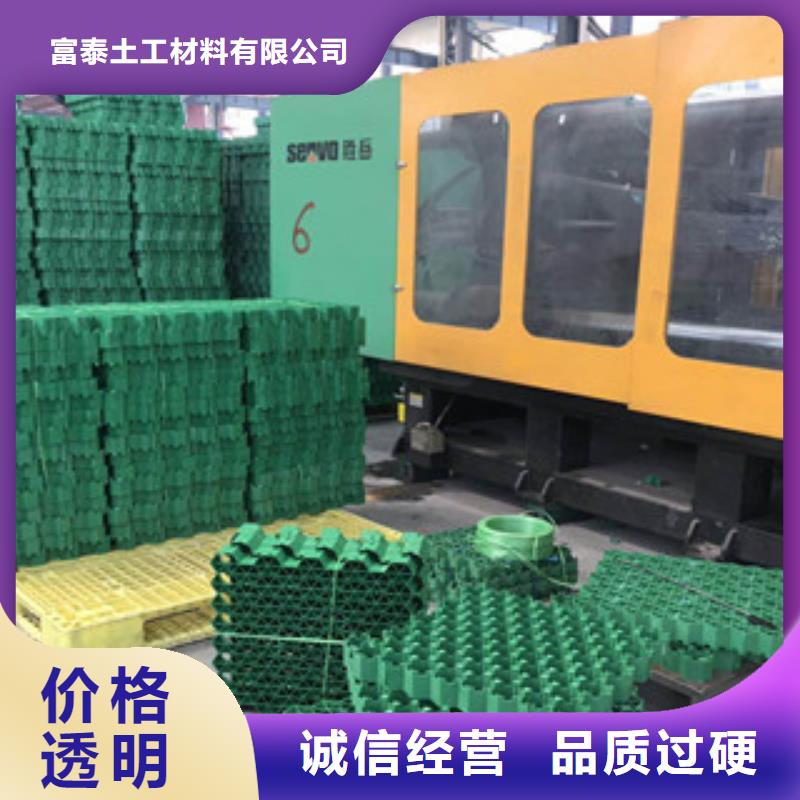 環保植草格,【排水板廠家】精選好貨