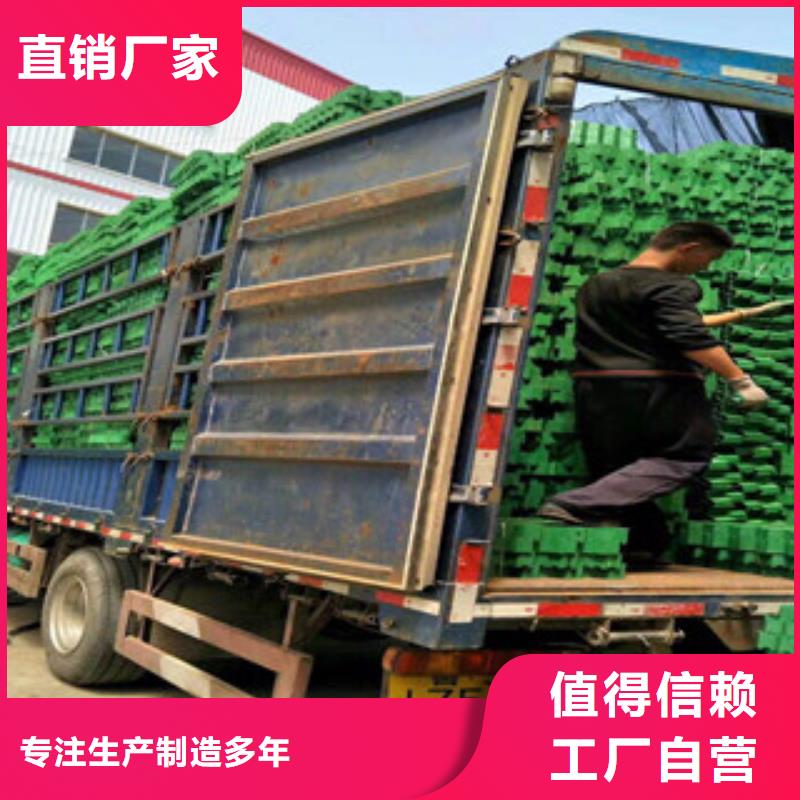 環保植草格【土工布廠家】您身邊的廠家
