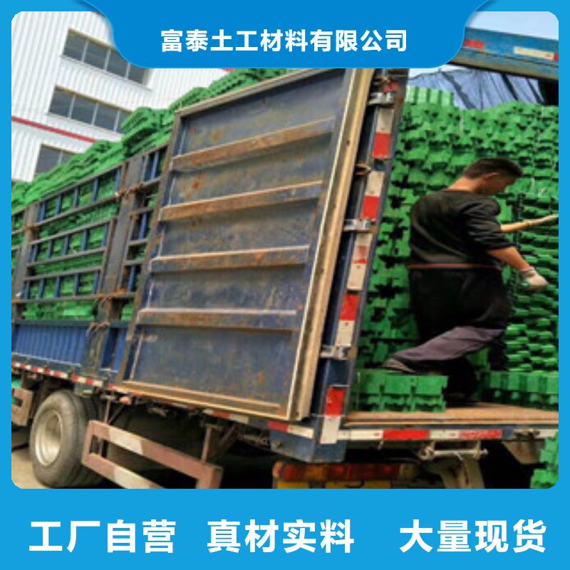 環保植草格植草格廠家一站式采購方便省心