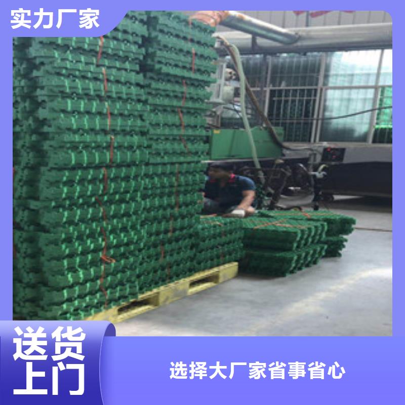 環(huán)保植草格生態(tài)袋廠家品牌企業(yè)