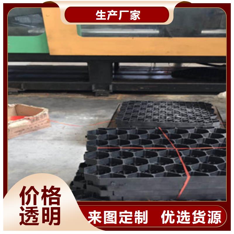 环保植草格蓄排水板厂家现货采购