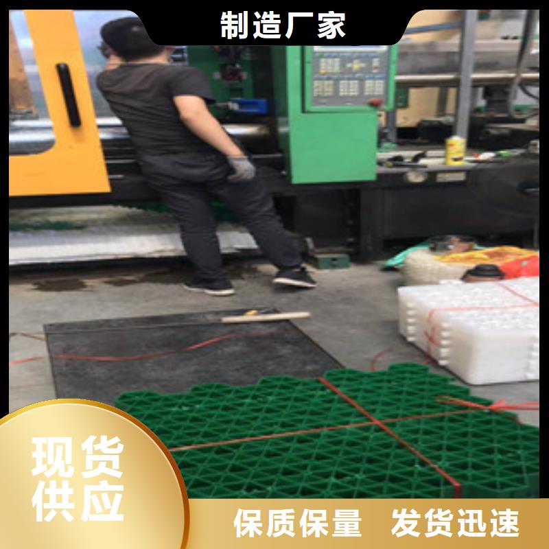 环保植草格-蓄排水板厂家专业完善售后