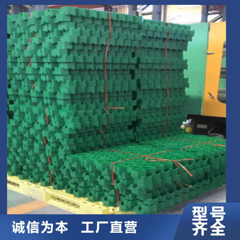 環保植草格虹吸排水槽廠家一手貨源