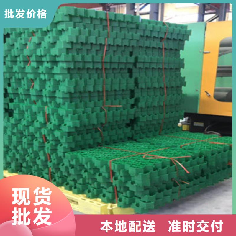环保植草格蓄排水板厂家厂家直销省心省钱