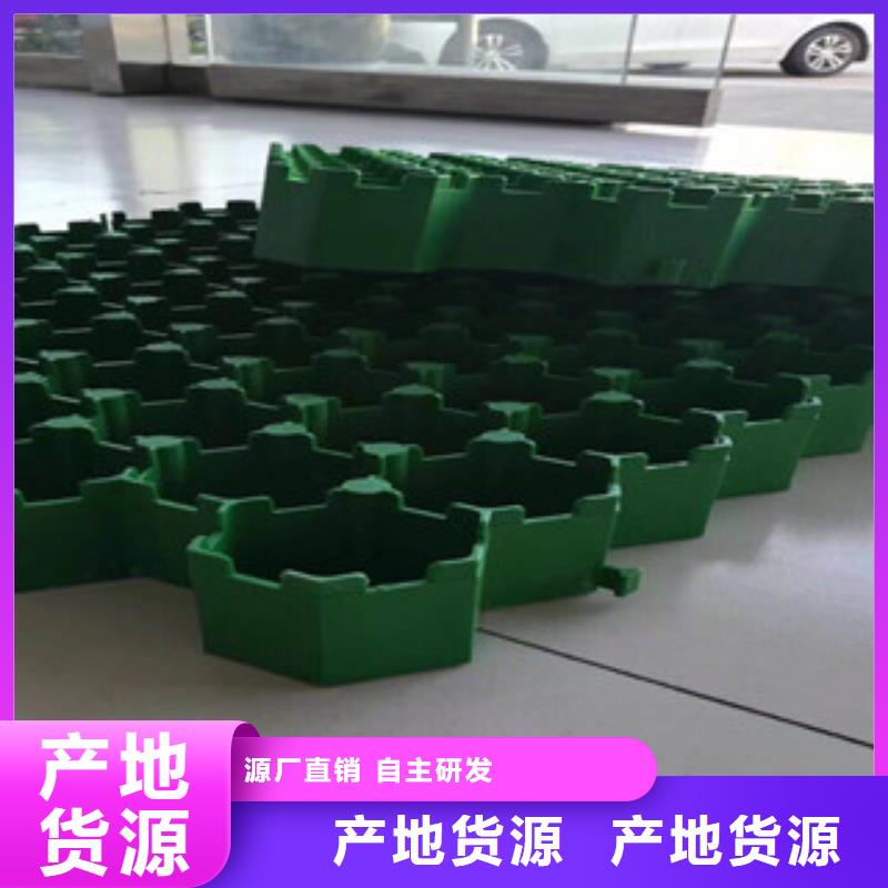 環保植草格虹吸排水槽廠家一手貨源