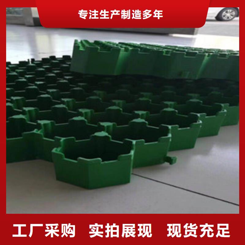 【環保植草格】土工布廠家擁有多家成功案例