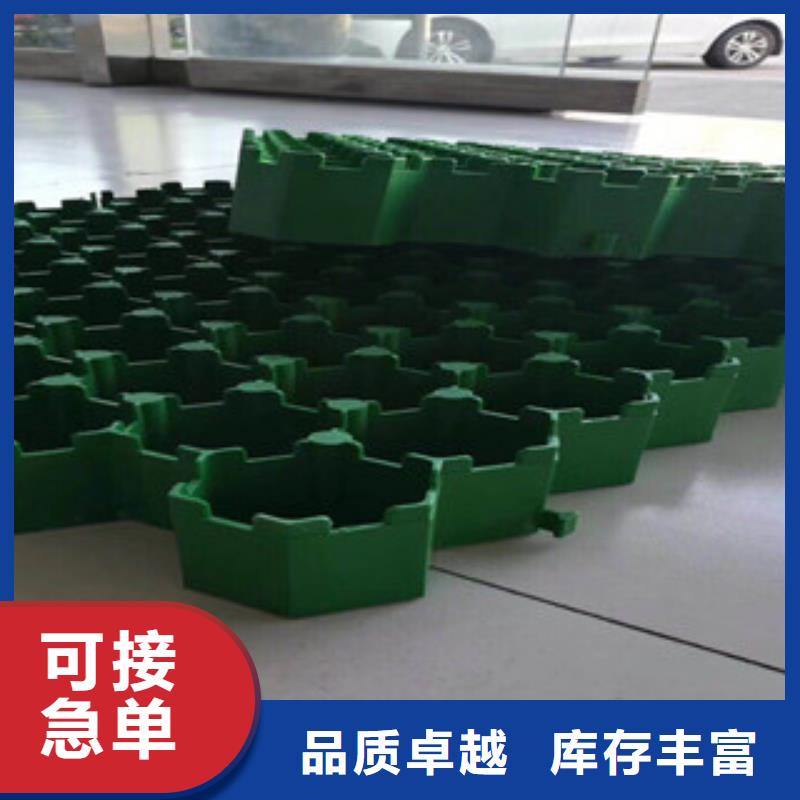 環保植草格-蓄排水板廠家專業完善售后