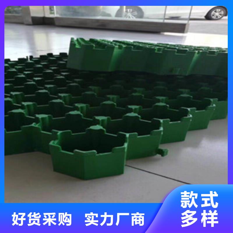 環保植草格植草格廠家一站式采購方便省心