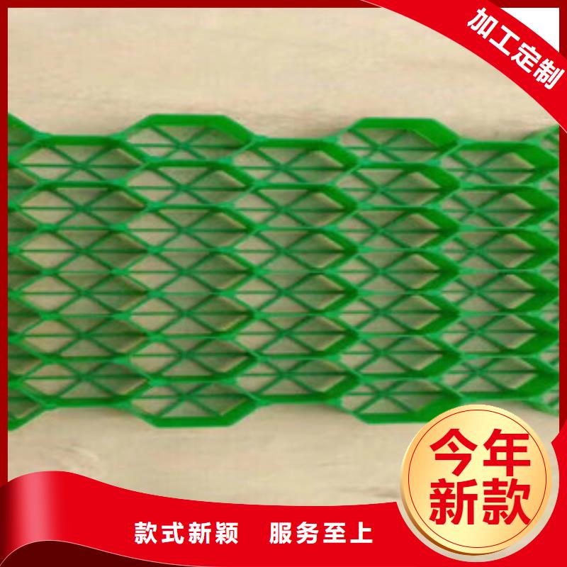 环保植草格蓄排水板厂家现货采购