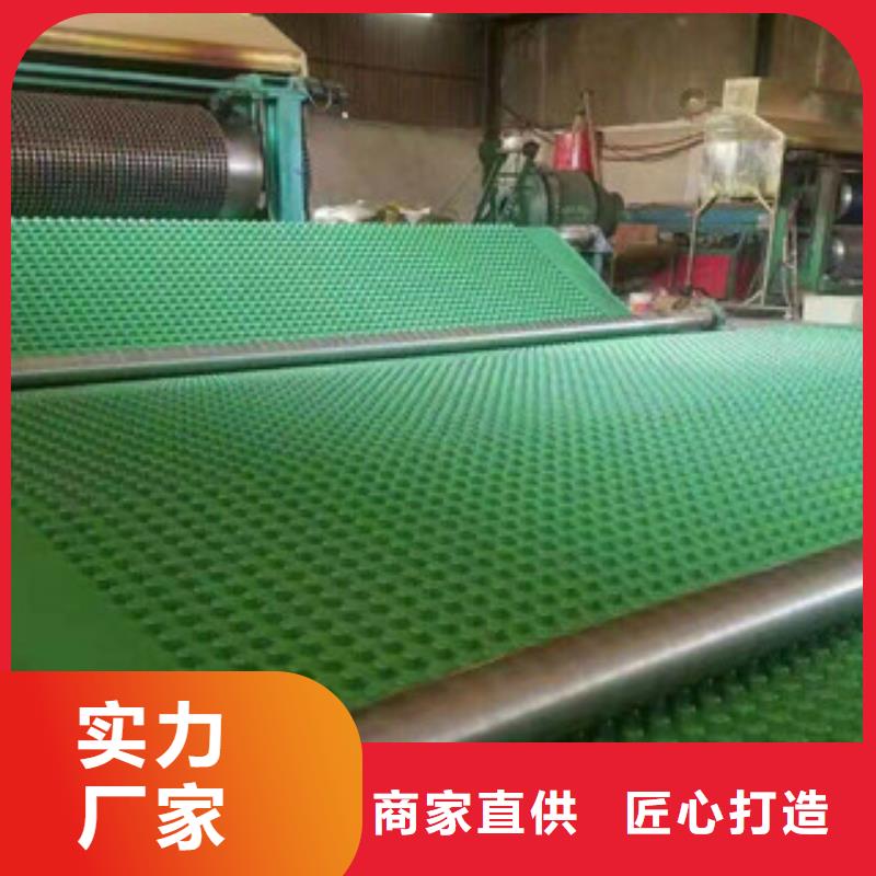 塑料排水板蓄排水板廠家工廠現(xiàn)貨供應(yīng)