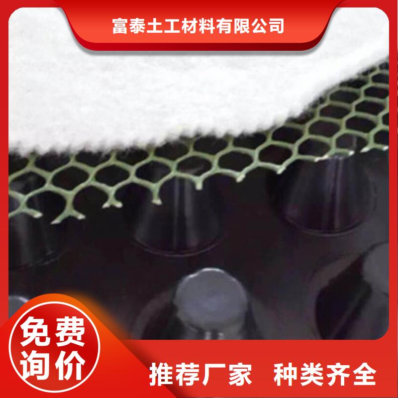 【塑料排水板蓄排水板廠家大廠家實力看得見】