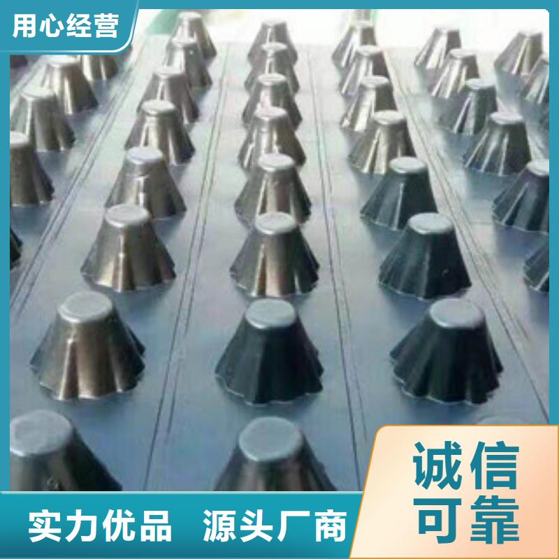 塑料排水板蓄排水板廠家來圖加工定制