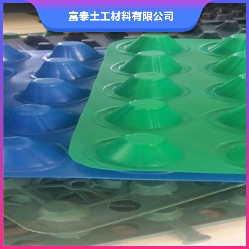 【塑料排水板蓄排水板廠家大廠家實力看得見】