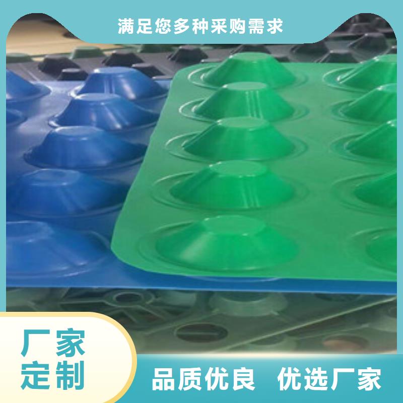 塑料排水板土工膜廠家安心購
