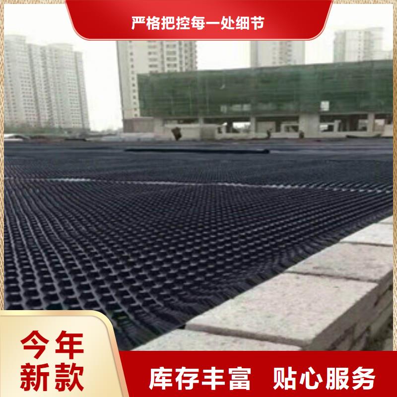 塑料排水板蓄排水板廠家來圖加工定制