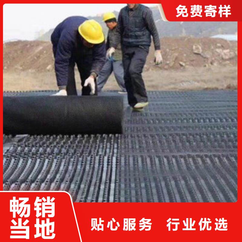 塑料排水板蓄排水板廠家工廠現(xiàn)貨供應(yīng)
