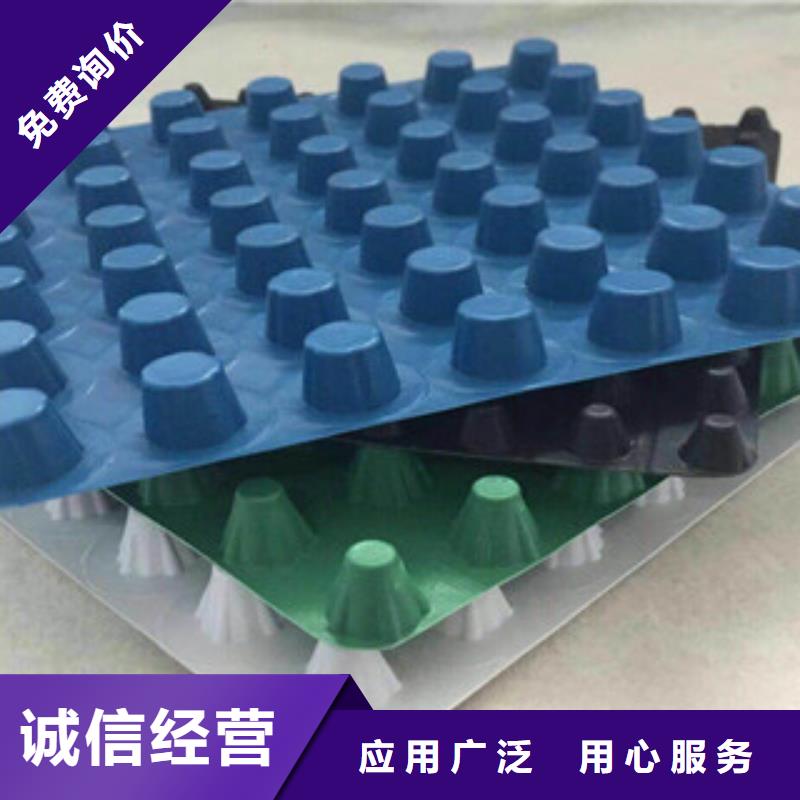 塑料排水板排水板廠家敢與同行比價格