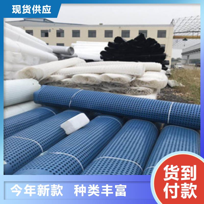 塑料排水板土工膜廠家安心購
