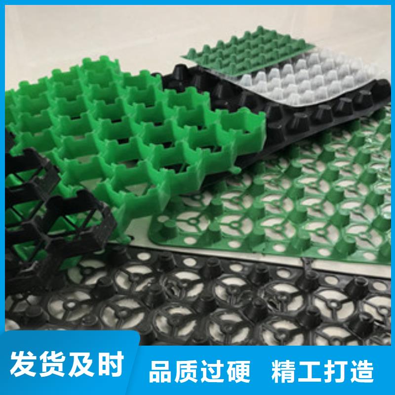 塑料排水板蓄排水板厂家厂家经验丰富