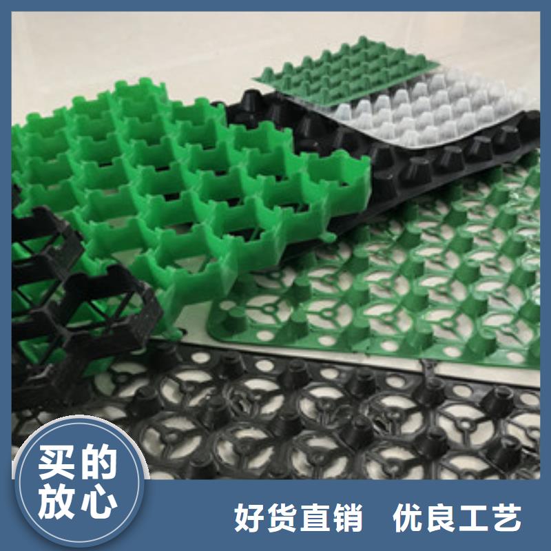 塑料排水板,植草格厂家用品质赢得客户信赖