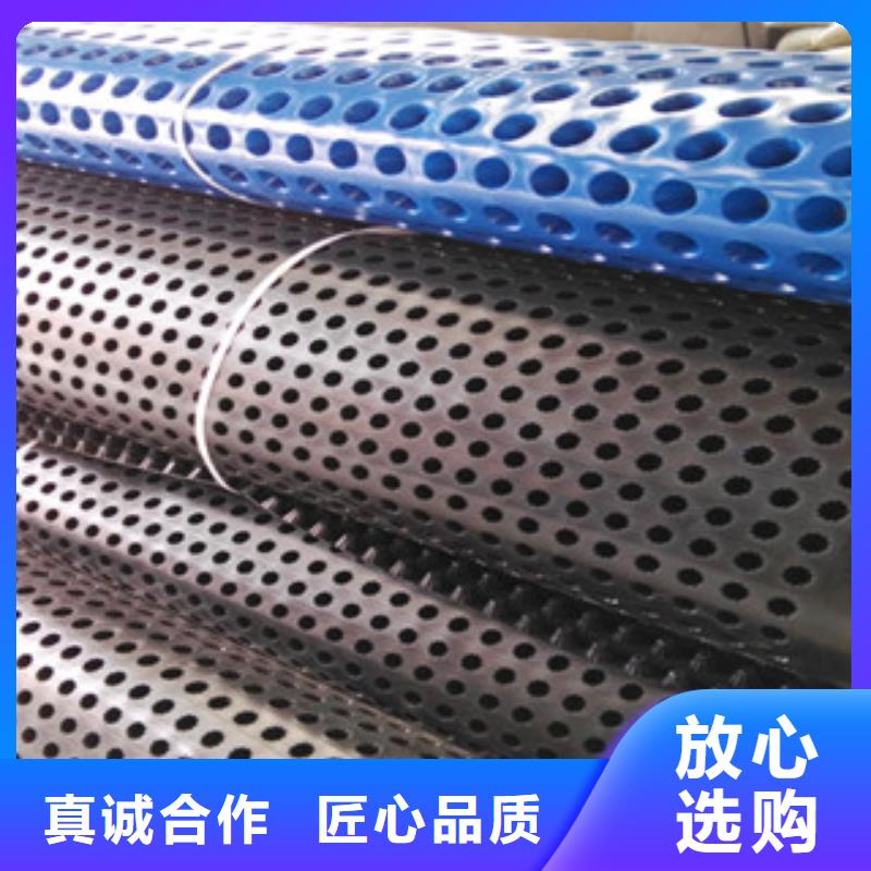 塑料排水板土工膜厂家严谨工艺