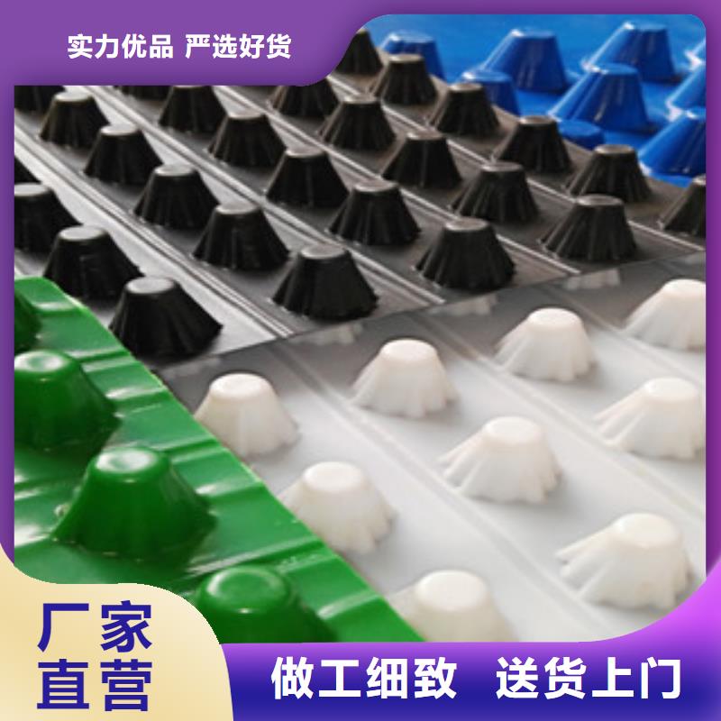 塑料排水板蓄排水板廠家廠家經驗豐富