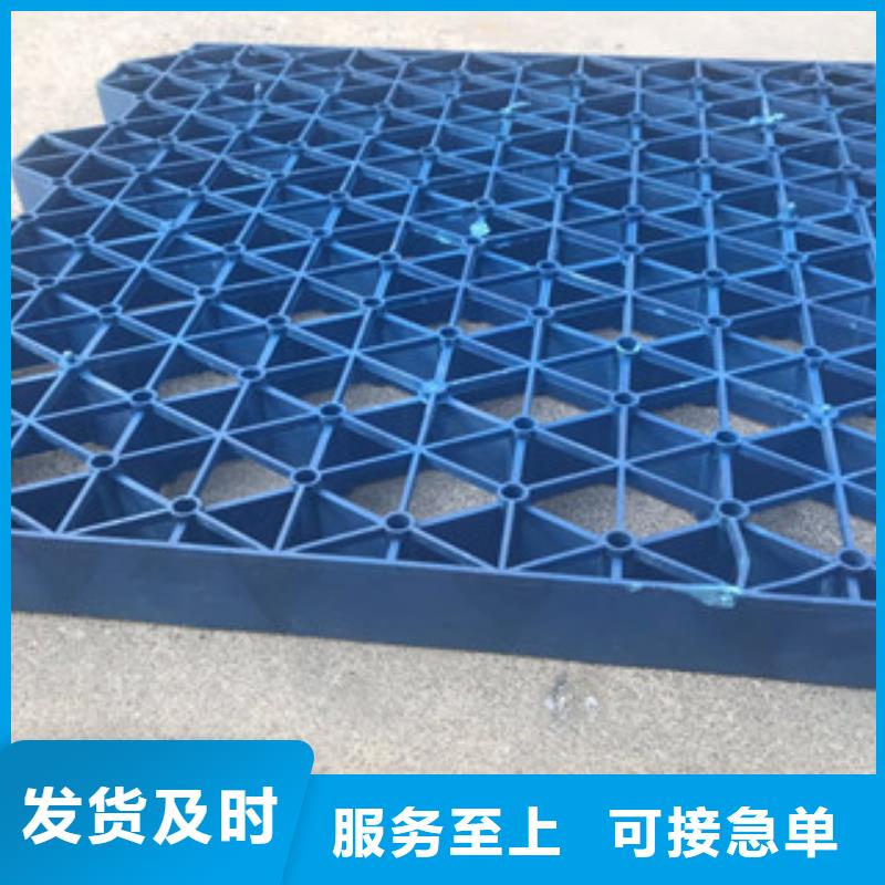 植草格 【排水板厂家】一站式采购方便心-可发货到六枝特|水城|黔南|贵阳|遵义|黔东南|黔西南|毕节|铜仁