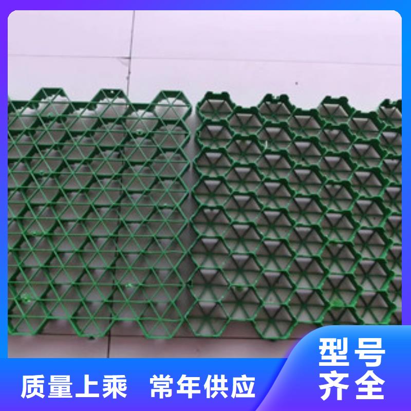 高強(qiáng)度植草格哪家好？