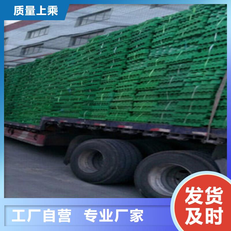 高強(qiáng)度植草格哪家好？