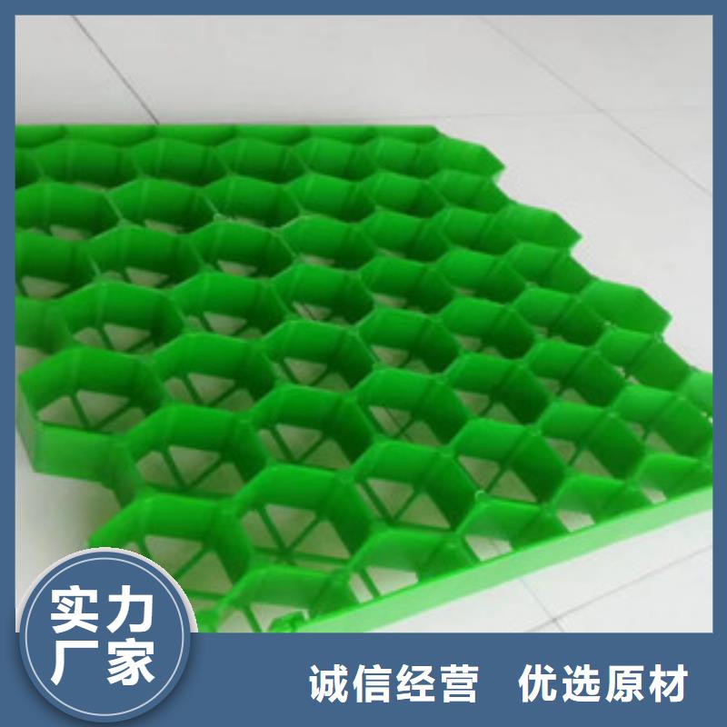 植草格-植草格厂家拒绝中间商