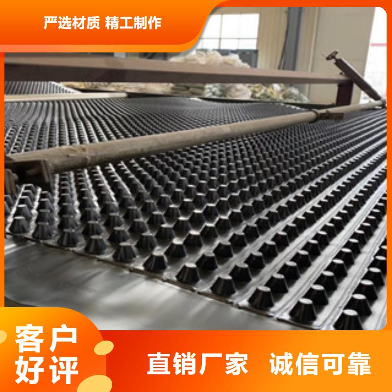 蓄水排水板生產(chǎn)廠家