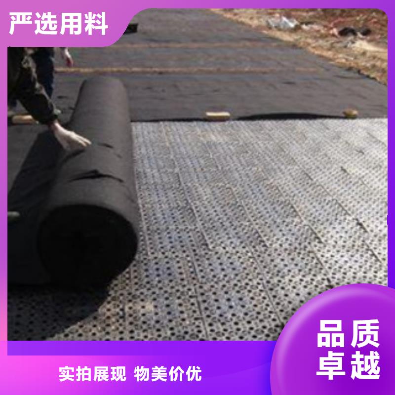 排水板植草格厂家好产品放心购
