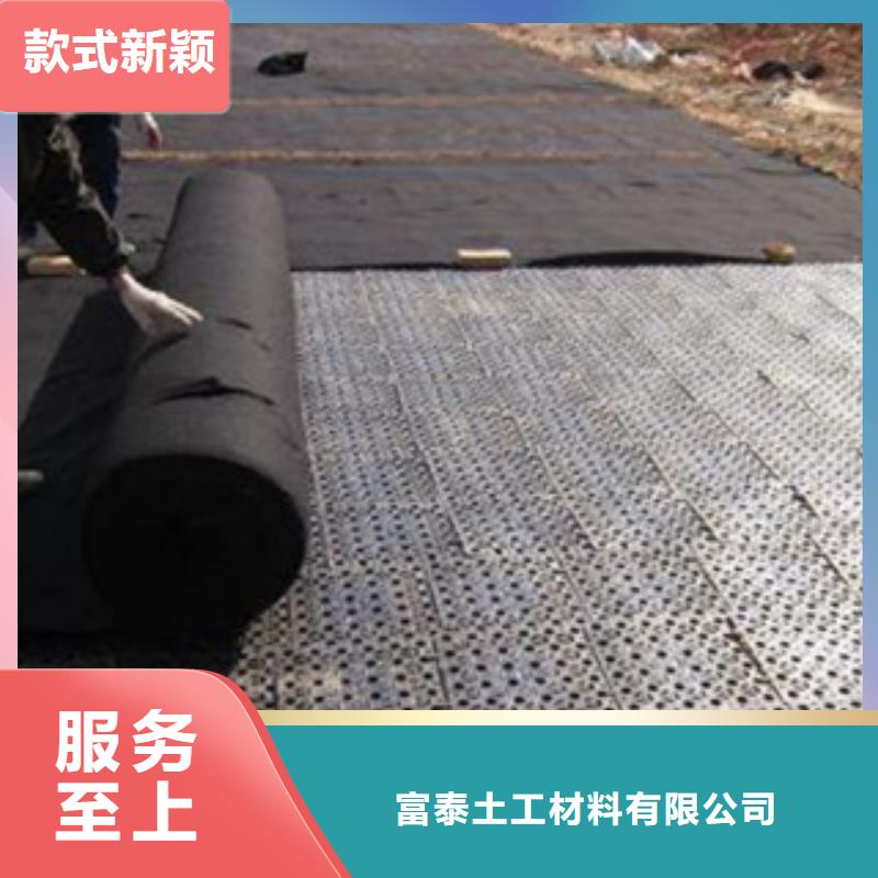 排水板_无纺布厂家质量看得见
