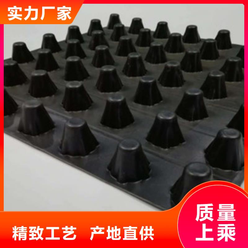 排水板,土工膜廠家定制定做