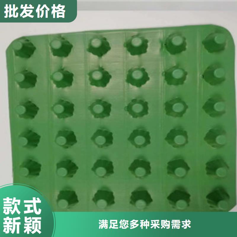 排水板-蓄排水板廠家實時報價