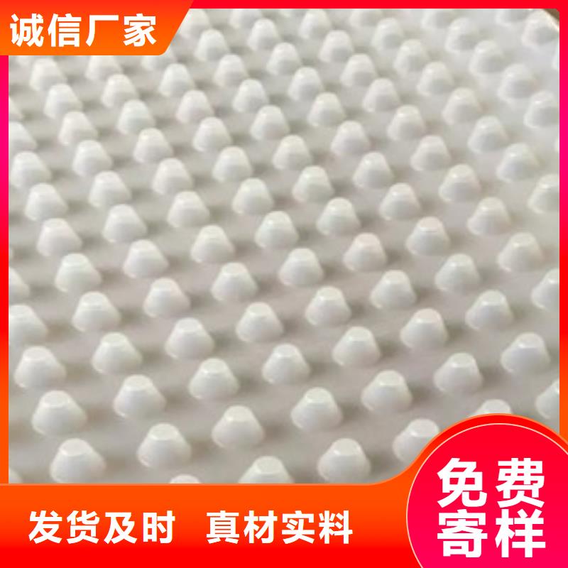 排水板蓄排水板廠家產地直供