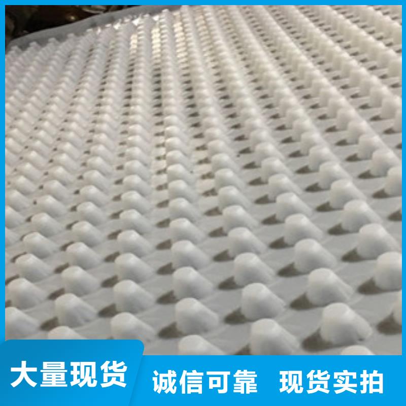 【排水板】虹吸排水板廠家多行業適用