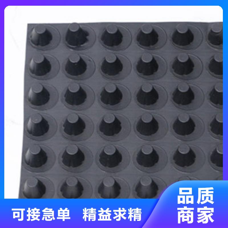 排水板土工膜厂家专业生产N年