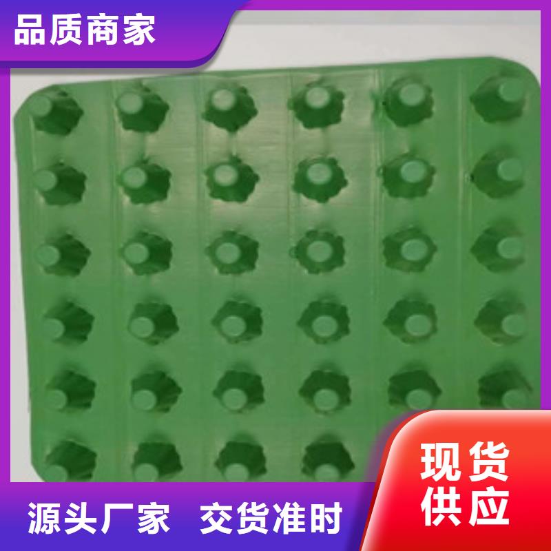 排水板_無紡布廠家質量看得見