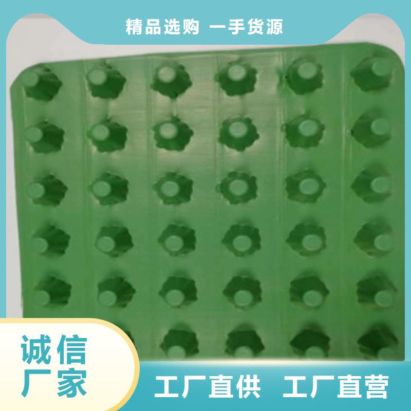 【排水板】虹吸排水板廠家大量現貨