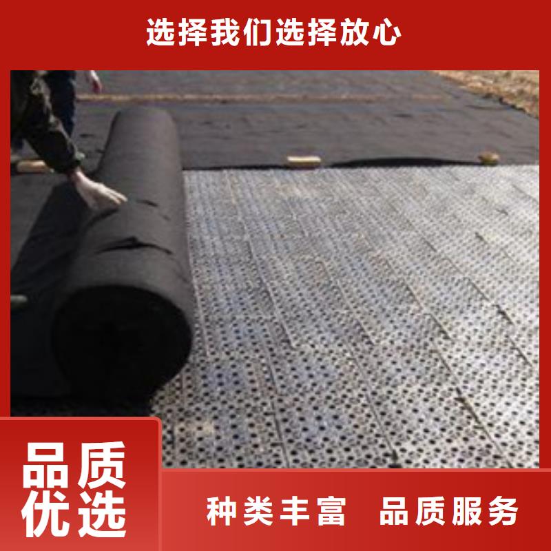 排水板植草格厂家好产品放心购