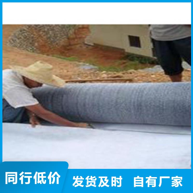 防水毯-排水板廠家廠家直銷售后完善